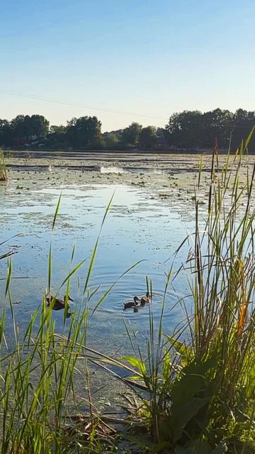 Нижнекамск, озеро Каракуль.