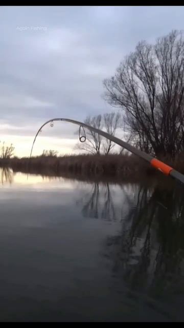 Эххх… этот звук азарта….👏

Дуэль закончилась победой