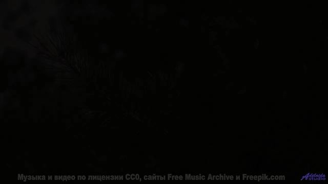 Этот клип звучит, будто сама Вселенная решила поговорить с тобой - Brother -- Derek Clegg -- Stop th