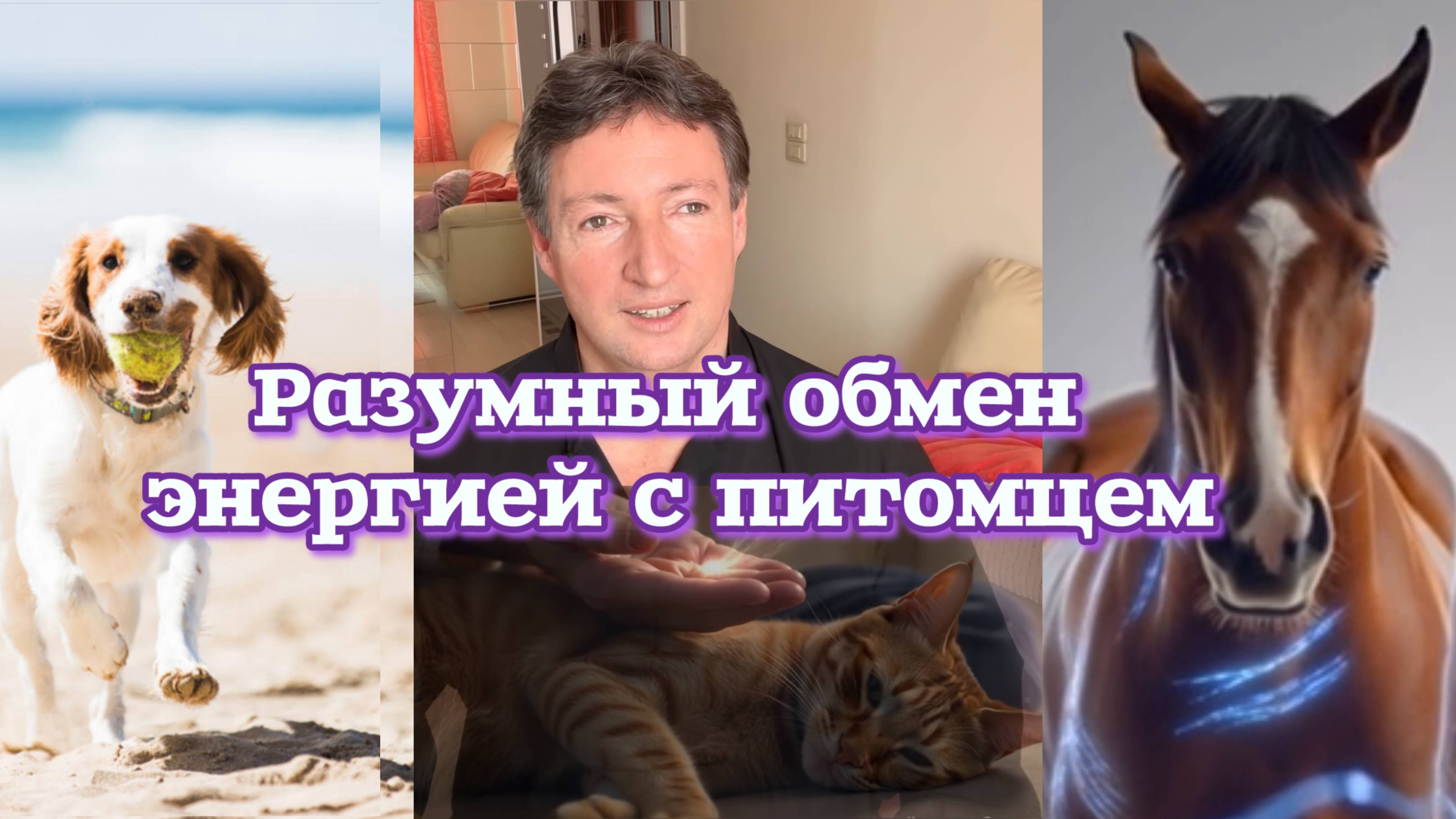 Тема: Разумный и безопасный обмен энергией с питомцем🥰. Урок 1: Установка контакта 😻