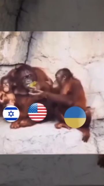 Коротко о ситуации в мире