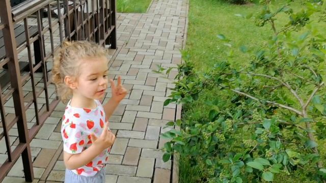 Влог №2 От дачи к свадьбам