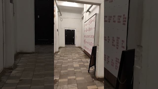 ХОДИМ С ТАМЕРЛАНОМ ПО КРЫШАМ ПИТЕРА 🤗♥♥♥