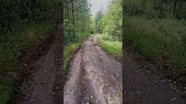 Тренировка на Оларевской гряде