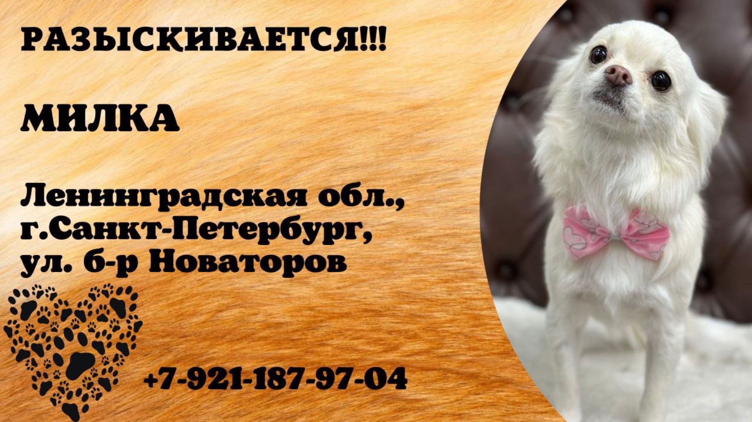 Пропала собака! МИЛКА. Ленинградская обл., г.Санкт-Петербург.