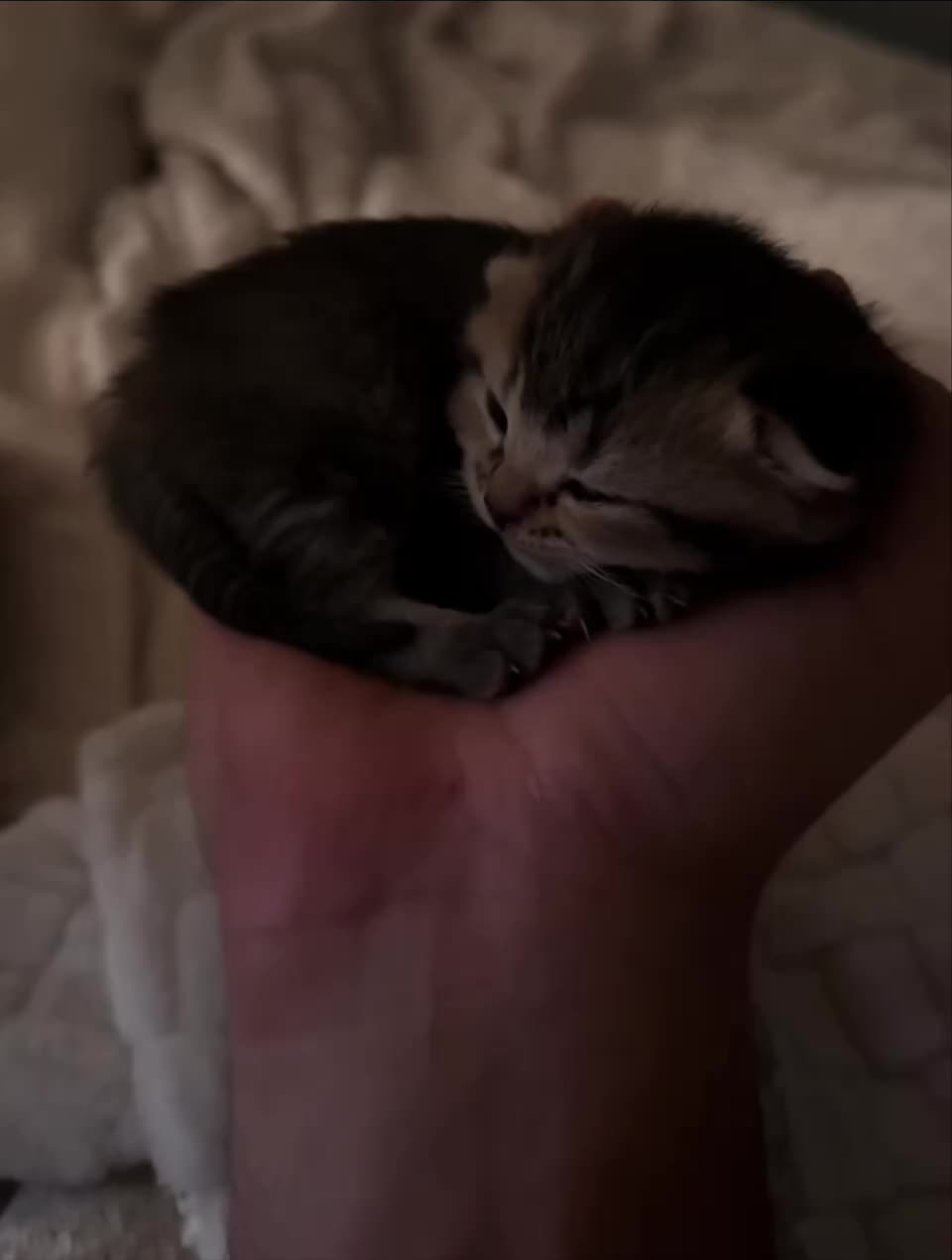 Подпишись 👉 https://vk.com/ykrasheniy_iz_kamny