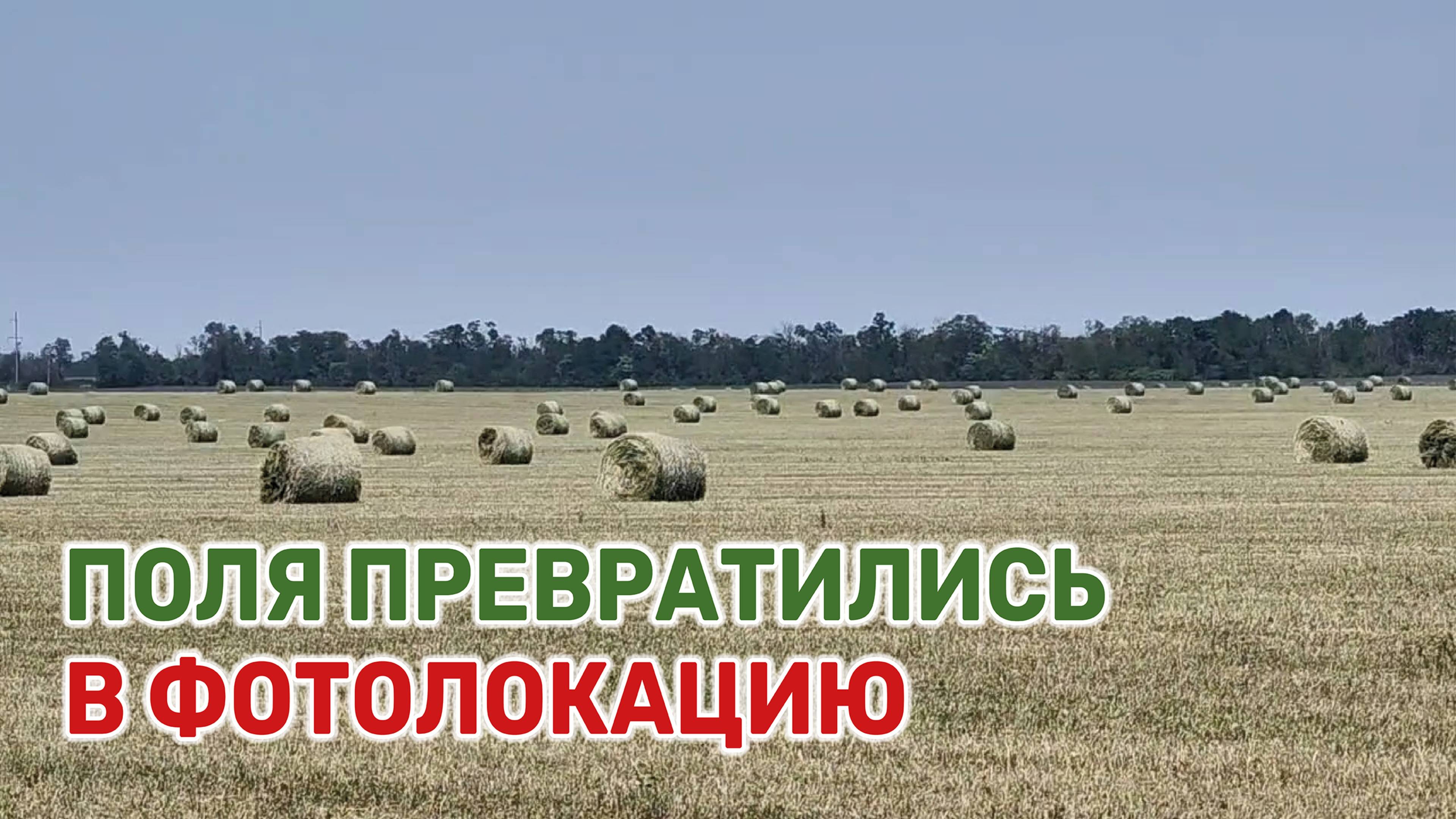 Туристы тормозят на обочине, чтобы сфотографироваться на фоне этой красоты