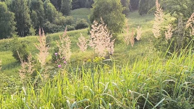 Лекарство для души❤.