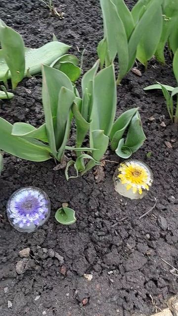 Декор своего участка🌼🌺🪷