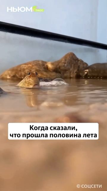 15 июля 2025 г.