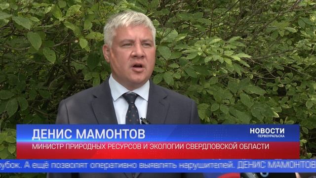Теперь охранять леса от пожаров и незаконной вырубки будет значительно проще