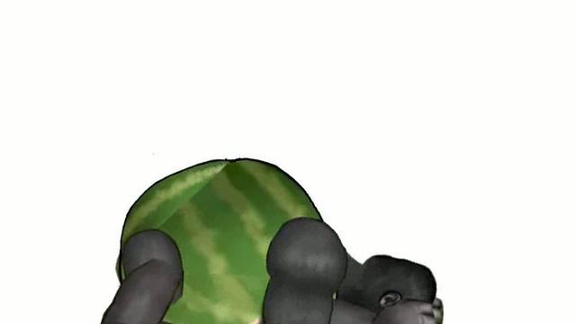 test Gorilla Watarmelon