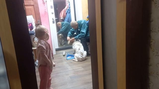 Готовим и заготавливаем #лавстори  #жизненныеистории #видео #жиза #заготовкаеды#вакууматор #рецепты