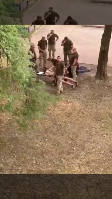 🇺🇦ТЦКашники пакуют "дельфинов"…