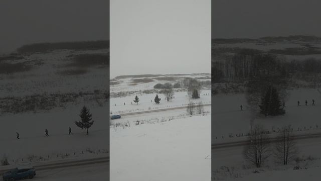 Трейл Mad Fox 2021 дистанция K40