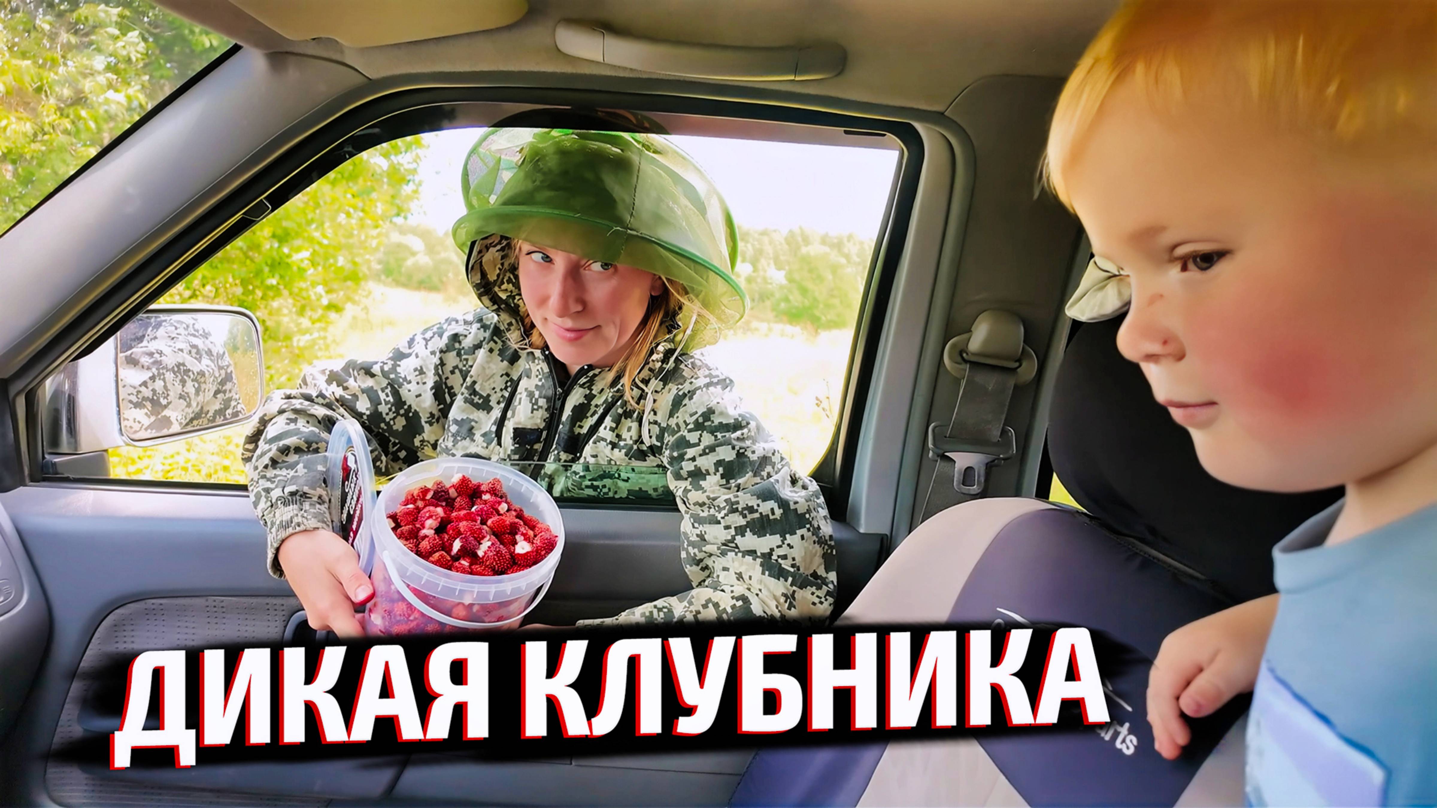 ДОДЕЛАЛ ЗАЩИТУ ОТ ПТИЦ / ЭКСПЕДИЦИЯ ЗА ЛЕСНОЙ КЛУБНИКОЙ НА ПИКАПЕ