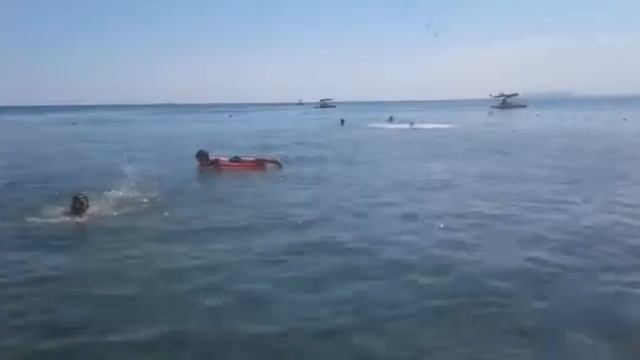 28 сентября 2019 г.