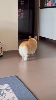 Подпишись 👉 https://vk.com/ykrasheniy_iz_kamny