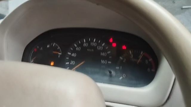 5448.mp4