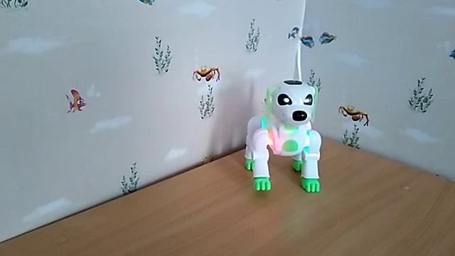 Пёс робот кот 1 серия