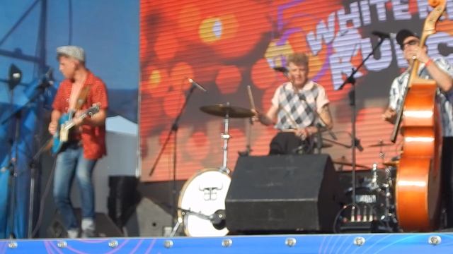 гр. "Мистер Твистер"- Twenty Flight Rock (Рок двадцатого этажа) 13/07/25 "Белые ночи Купчино"