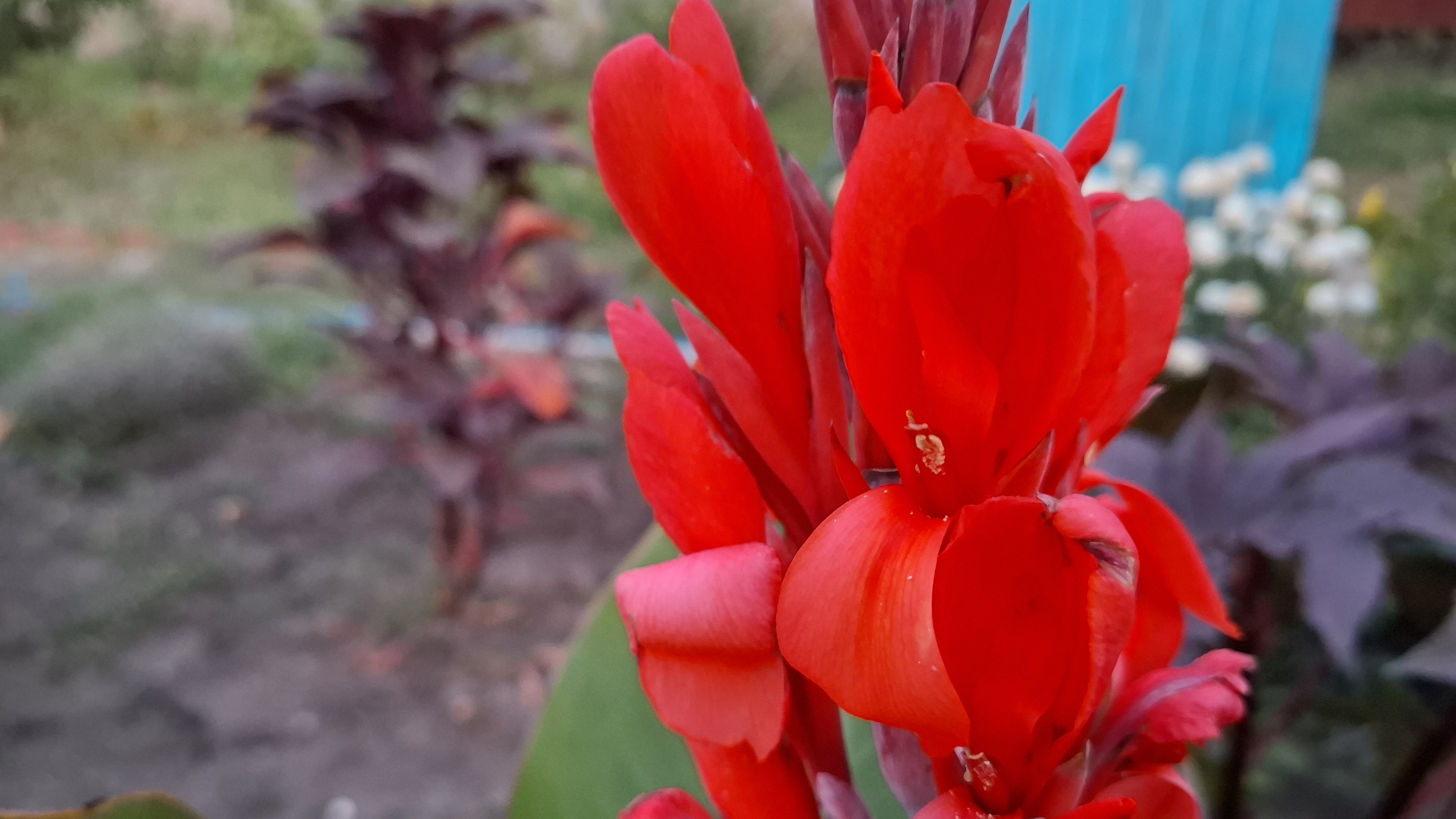 Отдохнули в Ейске. Садово огородные дела.Лето! Жара! Июль!🫠