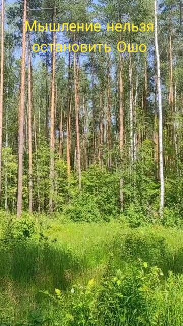 (13) Мышление нельзя остановить Ошо