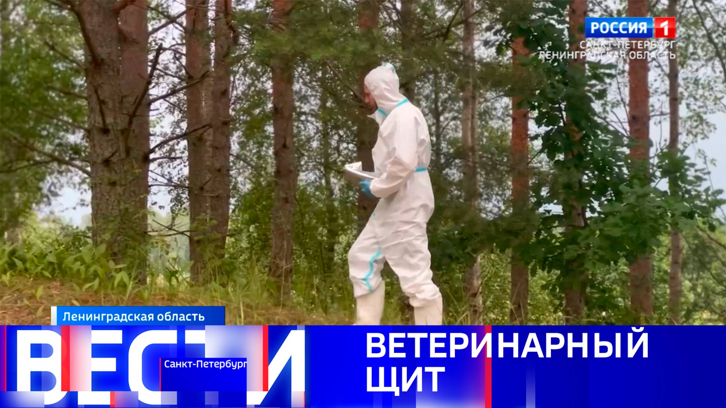 Вести Санкт-Петербург. Выпуск 11.30 от 15.07.2025