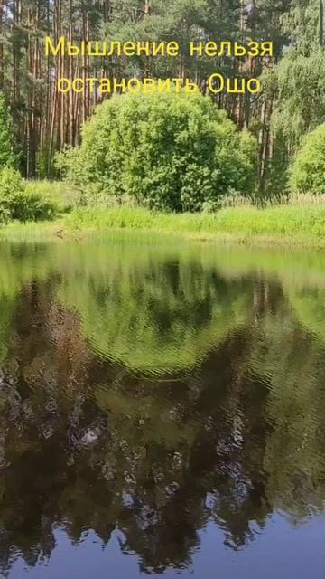 (9) Мышление нельзя остановить Ошо
