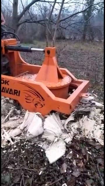 Как вам такая щепа от пня, которая осталась после Drill Master 89261385927 #ротоватор #мульчер #корч