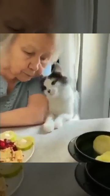 Любовь