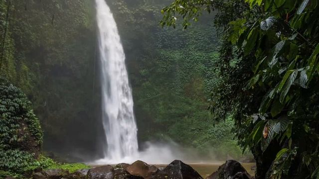 Водопад.Звуки водопада,пение птиц
Релакс.