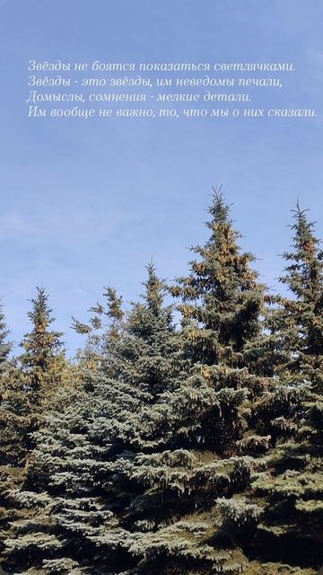 13.07.25 АЗ #ниднябезрифмы