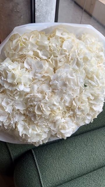 navoiflowers.ru