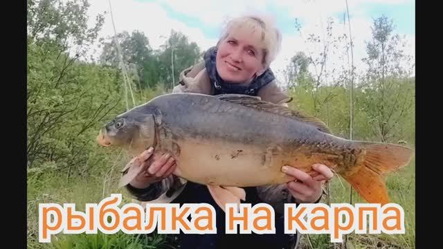 Первая рыбалка на озере в д. Кунач Орловской области конечно подарило нам карпа и зубастую красавицу