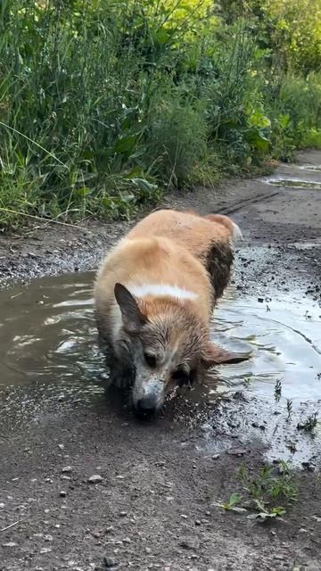 Дел навалом 🙈 !!!