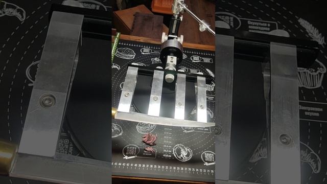 1000619137.mp4