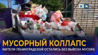 Станицу Ленинградскую заполонил мусор из-за срыва графика вывоза ТКО