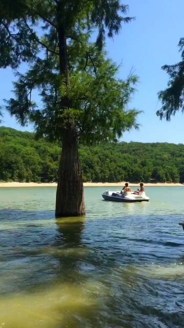 Живём на юге