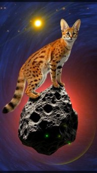 анимация нейросети