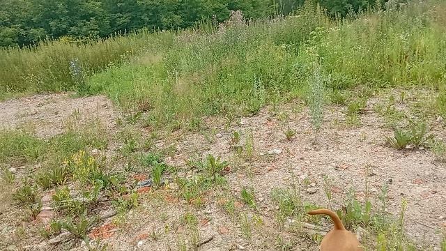 В психопаты можно записать каждого третьего