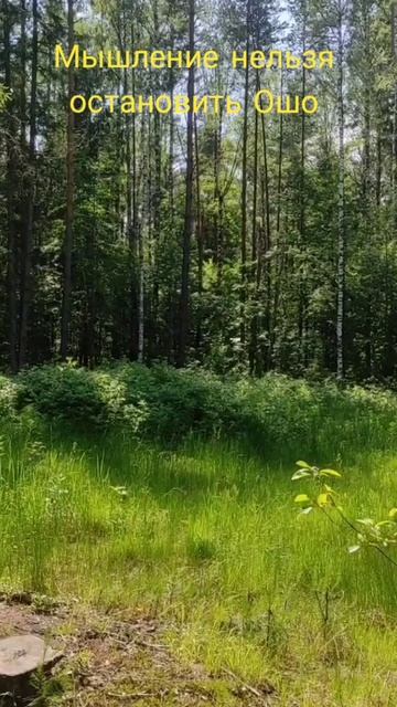 (15) Мышление нельзя остановить Ошо