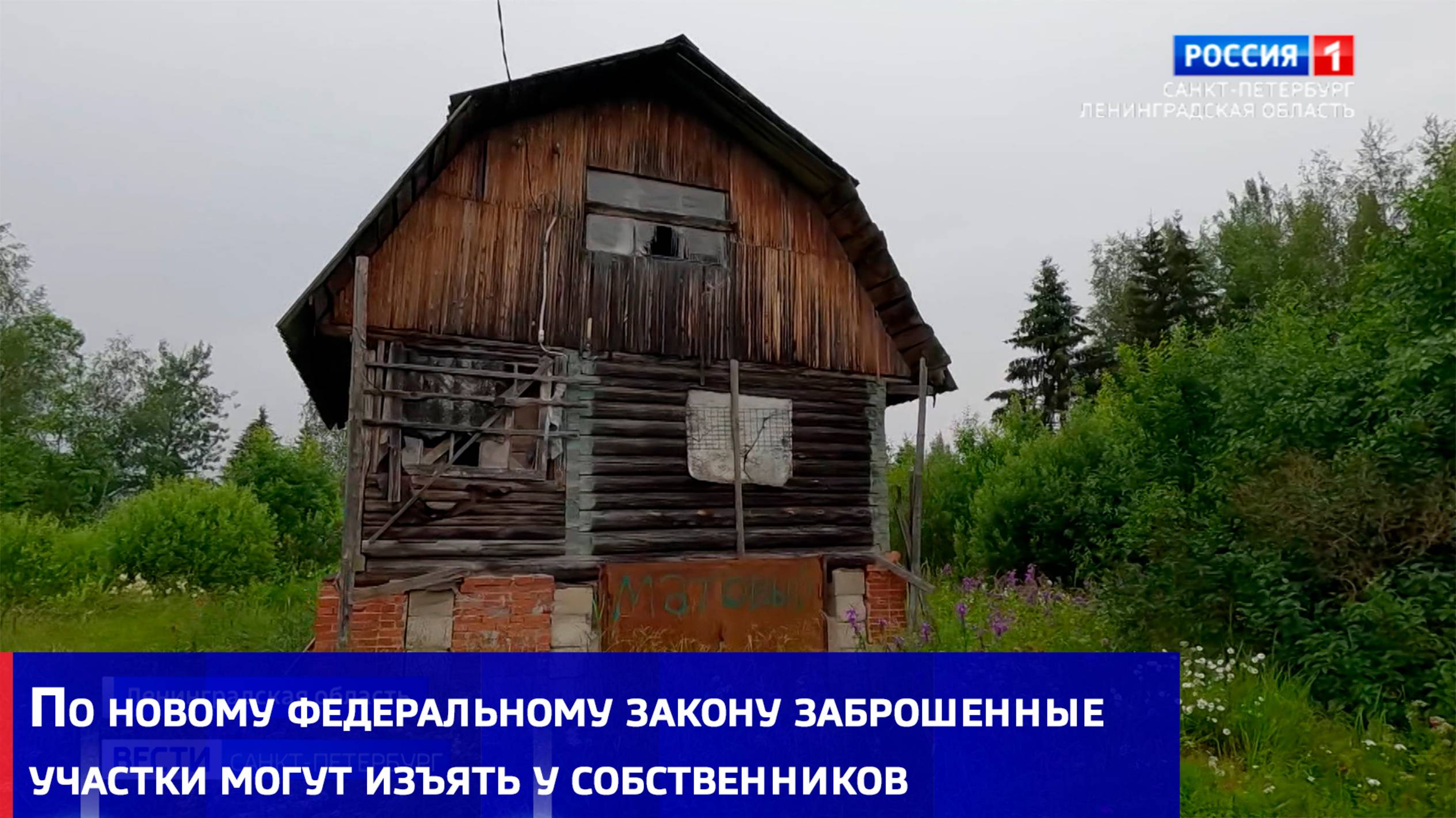 По новому федеральному закону заброшенные участки могут изъять у собственников