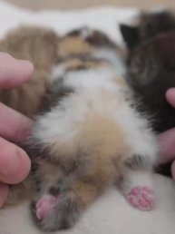 Подпишись 👉 https://vk.com/ykrasheniy_iz_kamny