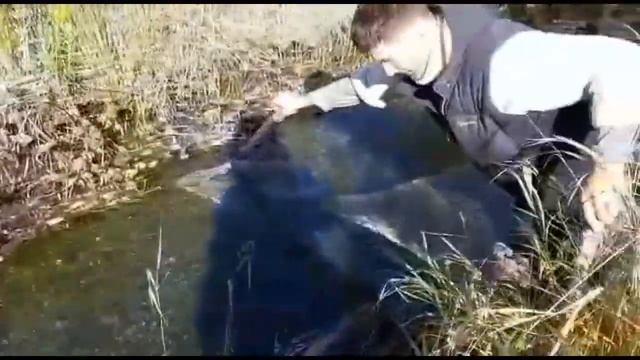 Подборка свежих приколов на рыбалке и охоте