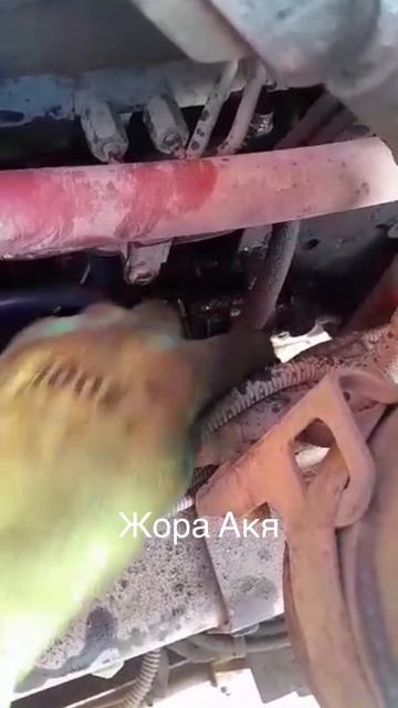 83c342da4e594da086b3a105fa9a6761