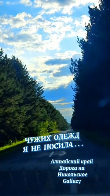 Алтайский край Дорога на Никольское Красота