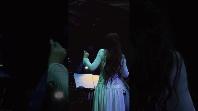 NELLA MUSICA ORCHESTRA «Сумерки. Сага. Симфомультимедия»