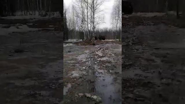 Болотоход Тайган 4*4 от довольного клиента