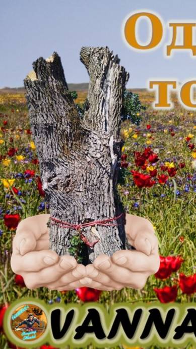 Одинокий тополь - жив!